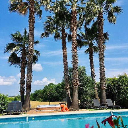 La Villa Mediterranee Wellness Spa Piscine Saint-Drezery 外观 照片