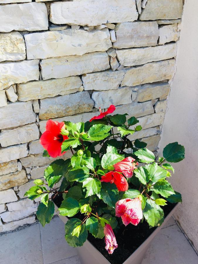 La Villa Mediterranee Wellness Spa Piscine Saint-Drezery 外观 照片