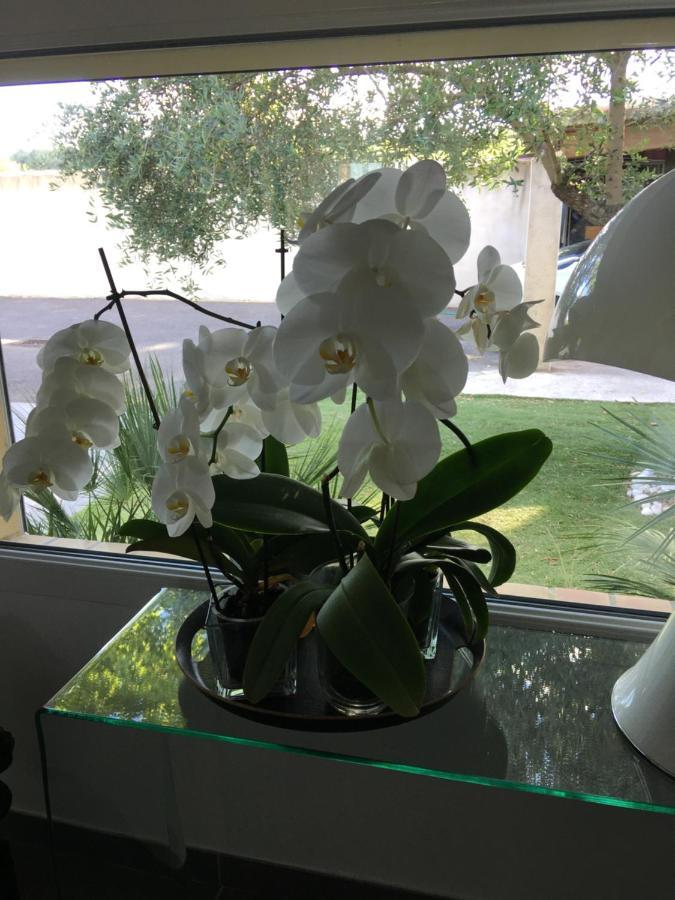 La Villa Mediterranee Wellness Spa Piscine Saint-Drezery 外观 照片