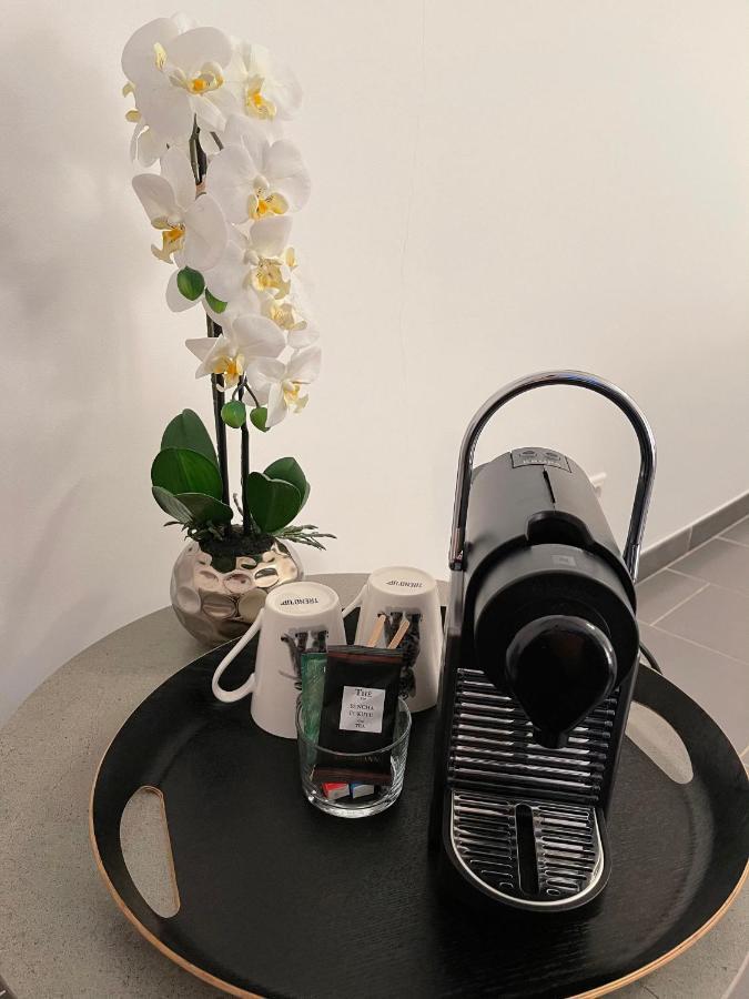 La Villa Mediterranee Wellness Spa Piscine Saint-Drezery 外观 照片